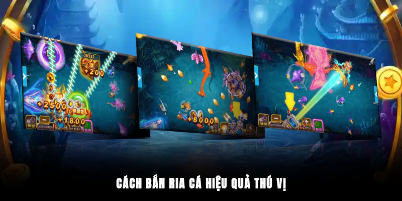 Cách bắn ria cá hiệu quả thú vị