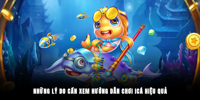 Những lý do cần xem hướng dẫn chơi iCá hiệu quả